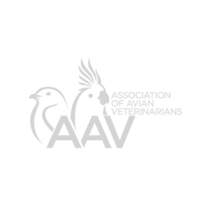 aav