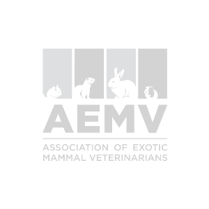 aav
