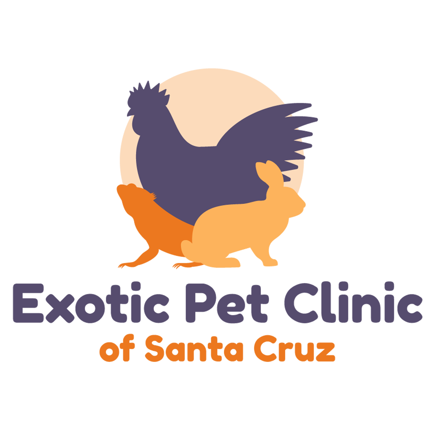 Exotic Pet Clinic Of Santa Cruz Scotts Valley Ca 95066 Veterinarian